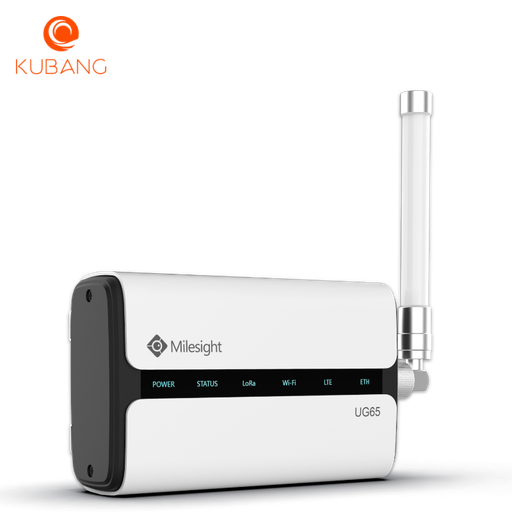 UG65 industriklassad LoRaWAN gateway